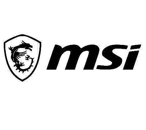 MSI logo